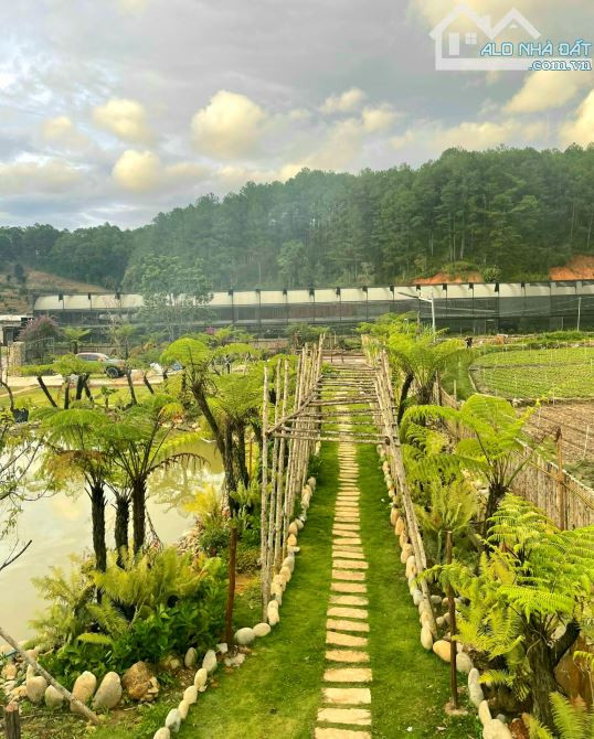 Bán homestay sân vườn góc 2 mặt tiền view rừng thông gần trung tâm Đà Lạt