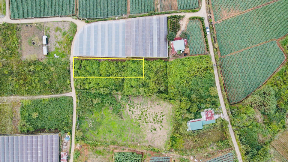 Đà Lạt còn sót lại 1 lô sổ riêng gần 700m2 - đường bê tông lớn - giá đầu 2 chấm