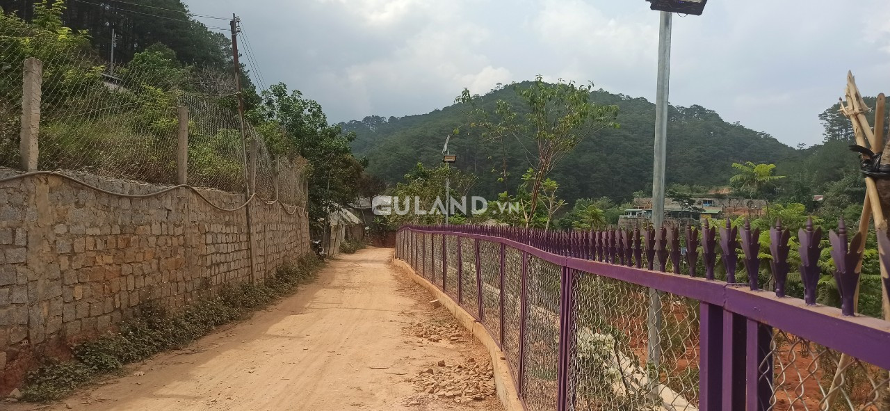 Có suối, có rừng, có xây dựng, mà cách trung tâm 5km