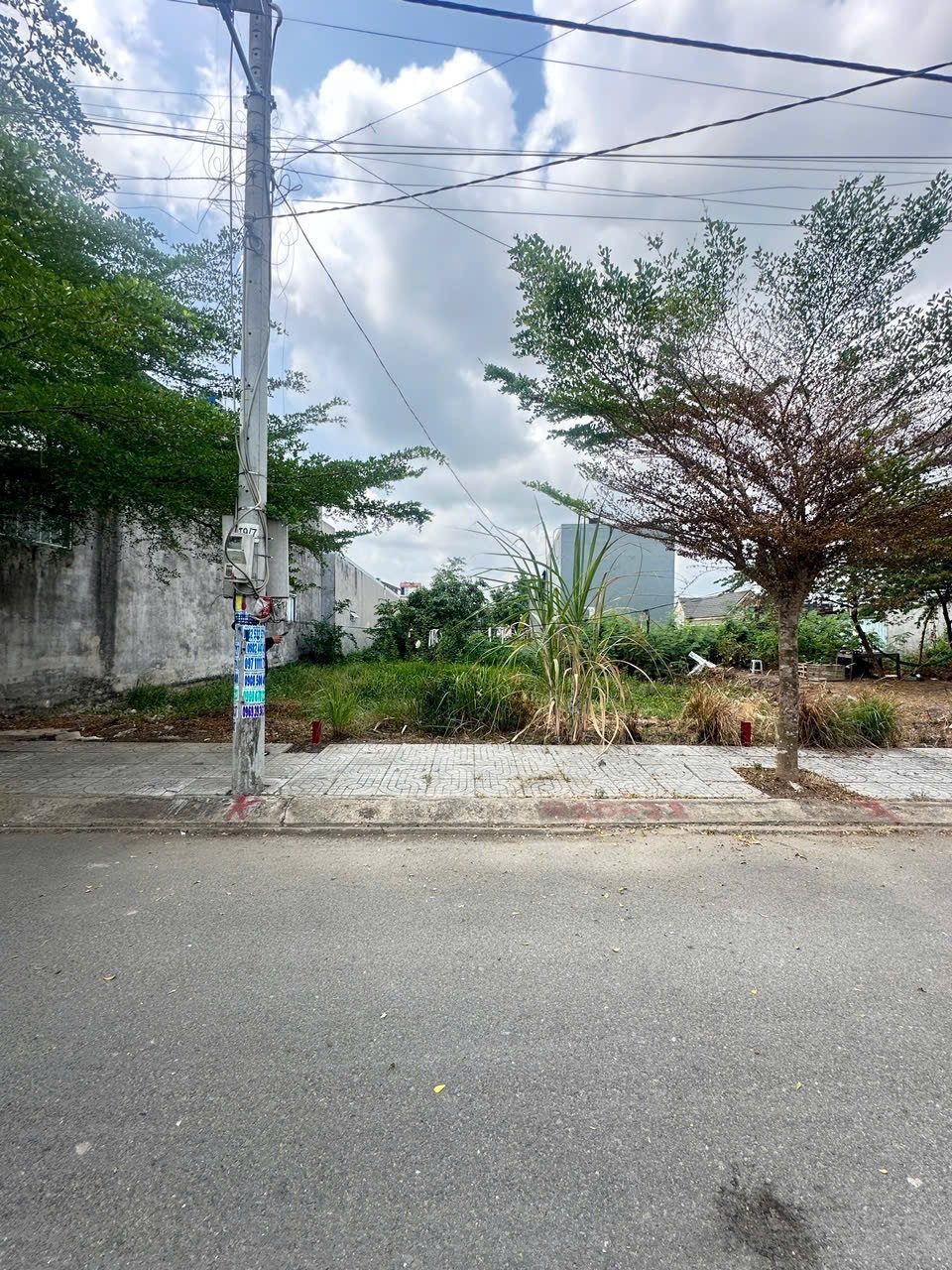 Bán đất khu dân cư trần anh mỹ hạnh hoàng gia giá ngộp 90m2 sổ hồng