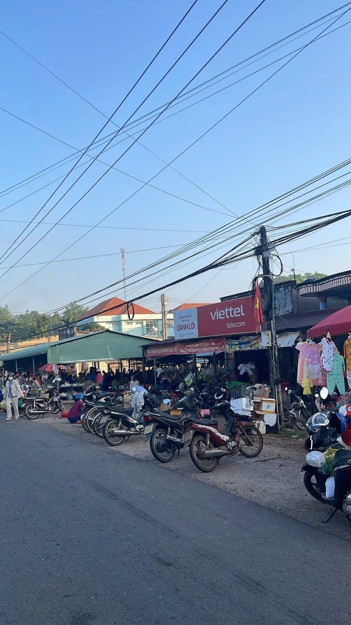 Bán Đất 2500m² thổ cư 300m² giá 9.5 tỷ tại Đường Nam Sông Hậu Xã Trần Đề Cần Thơ