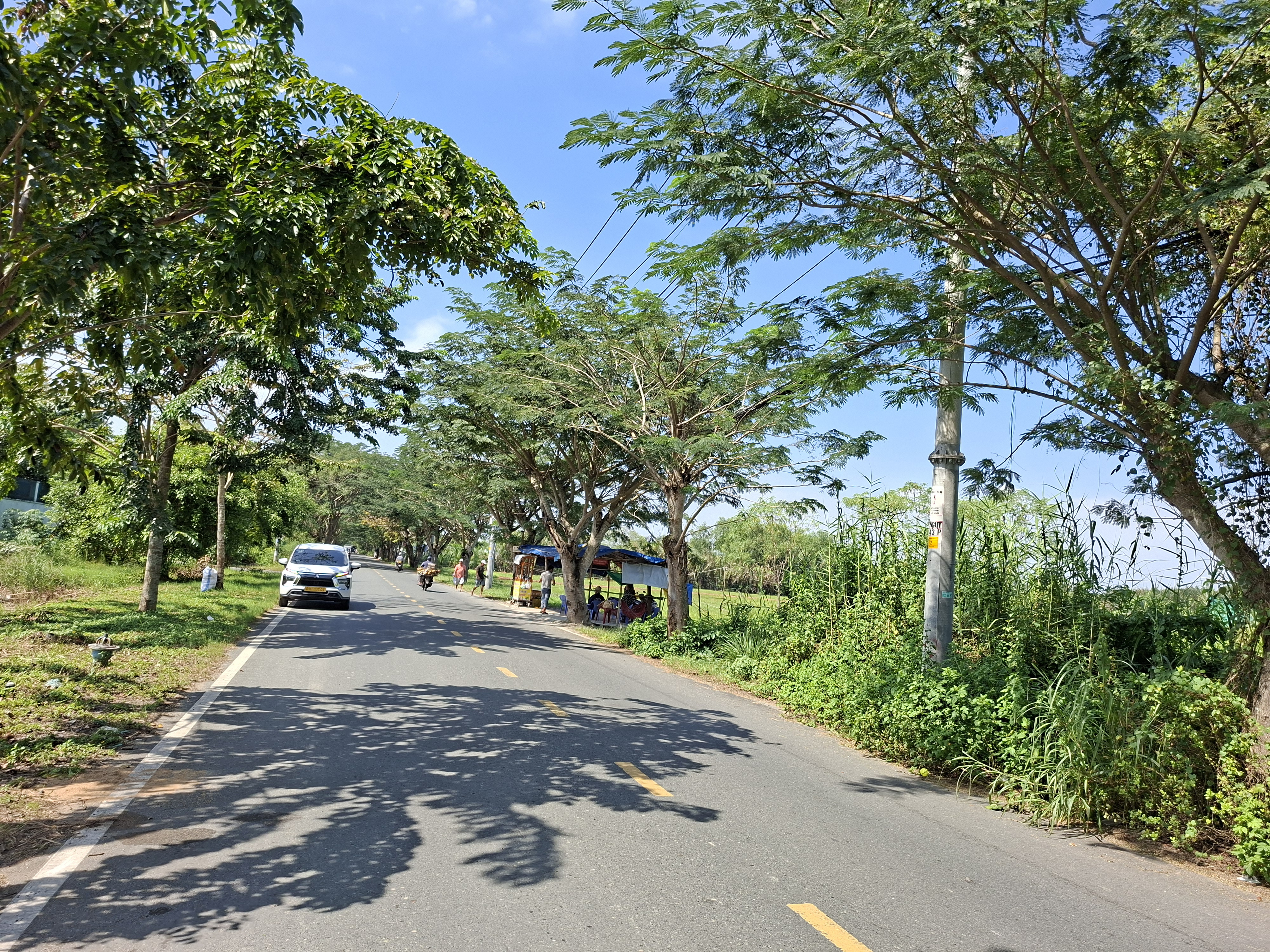 Cần bán đất trồng cây lâu năm mặt tiền Ngô Quang Thắm, Long Thới, Nhà Bè