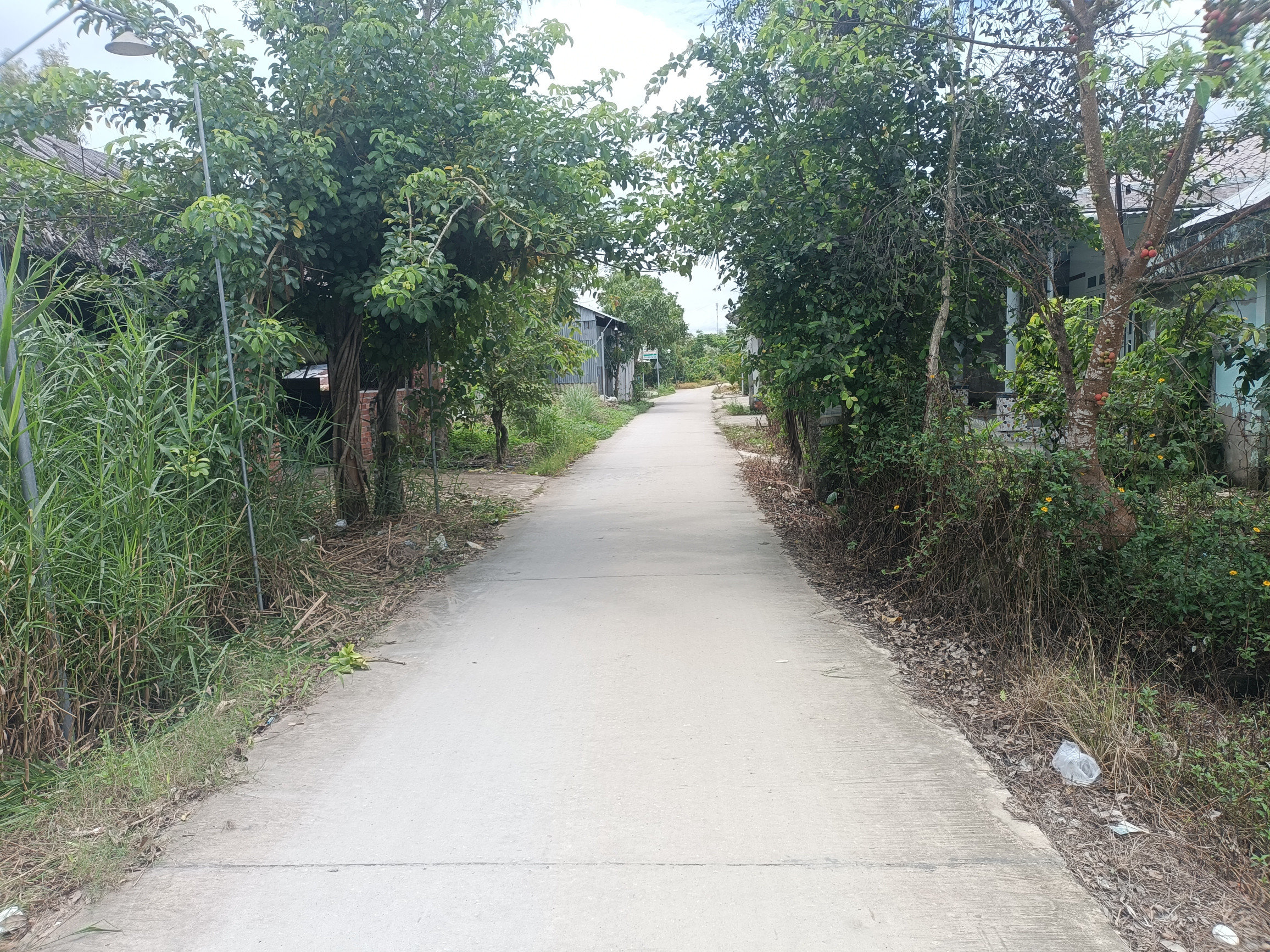 Bán đất 587.4m² ngang 20m giá 800 triệu Xã Mỹ Tú
