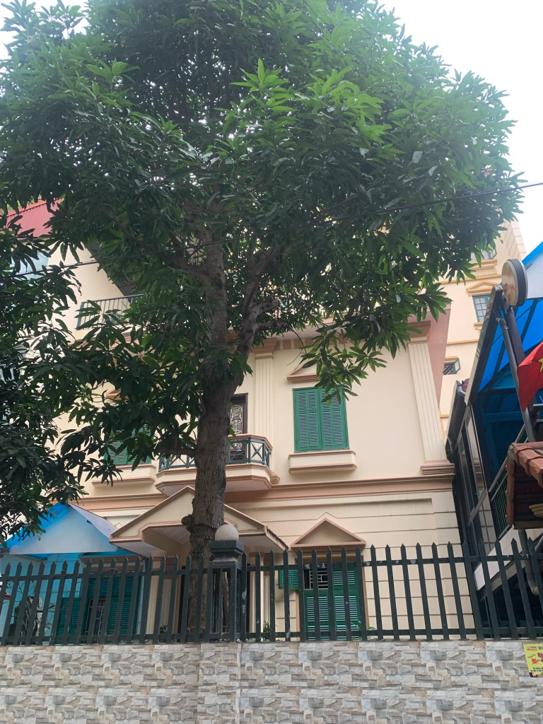 Biệt thự sân vườn Nguyễn Văn Cừ-Ngọc Lâm, 305m x 4 tầng, mặt tiền 12m, ôtô tránh, sân vườn để được 5 ôtô, full thổ cư