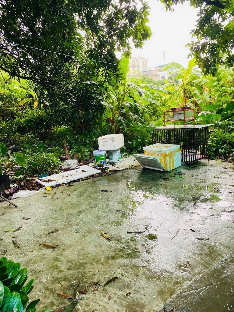 Diện tích siêu rộng mặt tiền siêu lớn giá siêu tốt