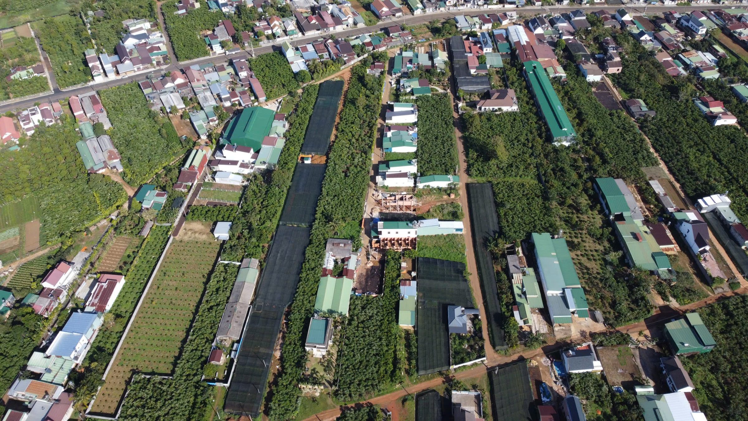 Hẻm 113 Nguyễn đình chiểu P1 Bảo Lộc