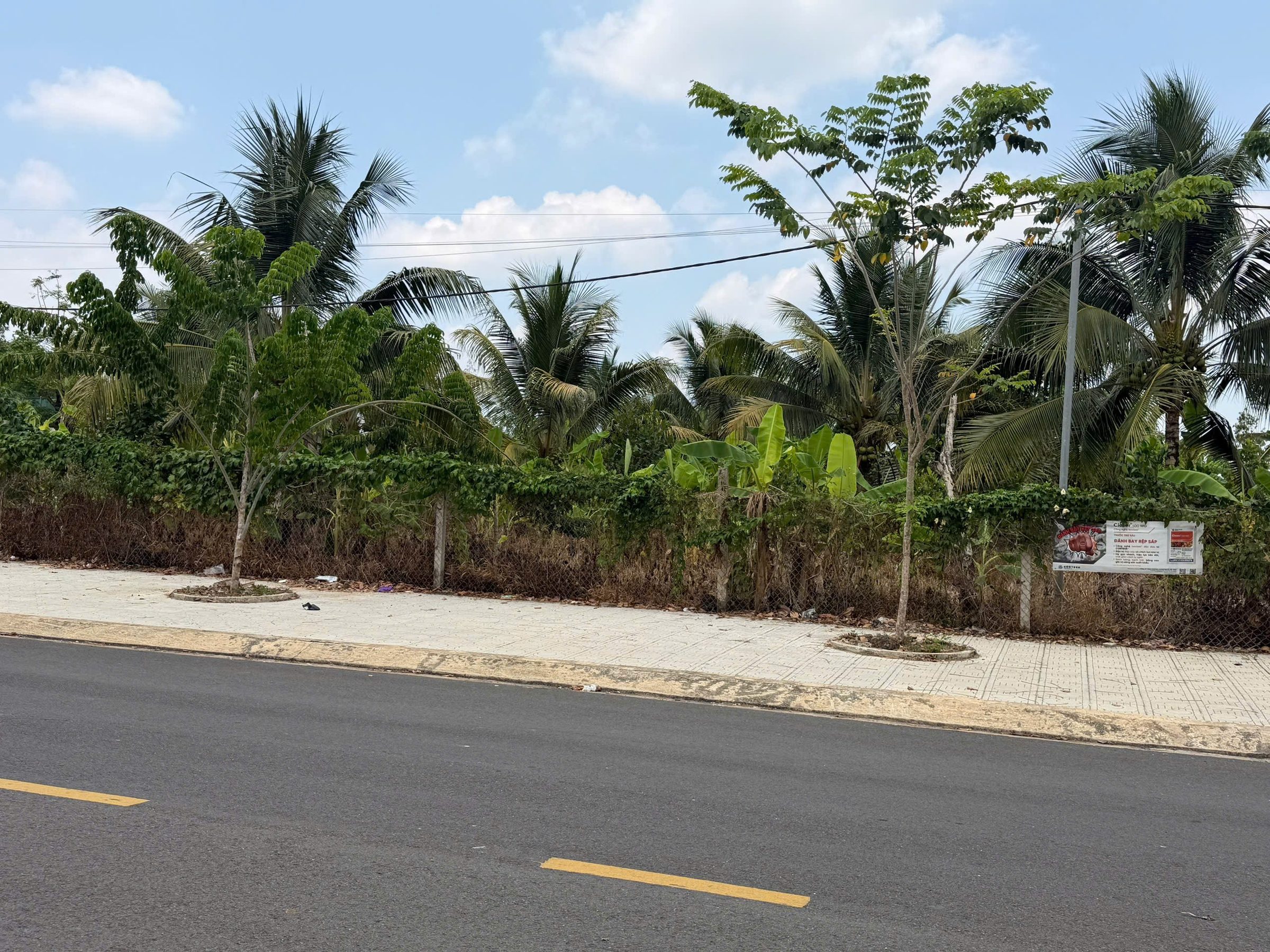 Cần bán mt đường nguyễn du tt tân phú. Dt 1569m2. Giá 28ty. Có tl