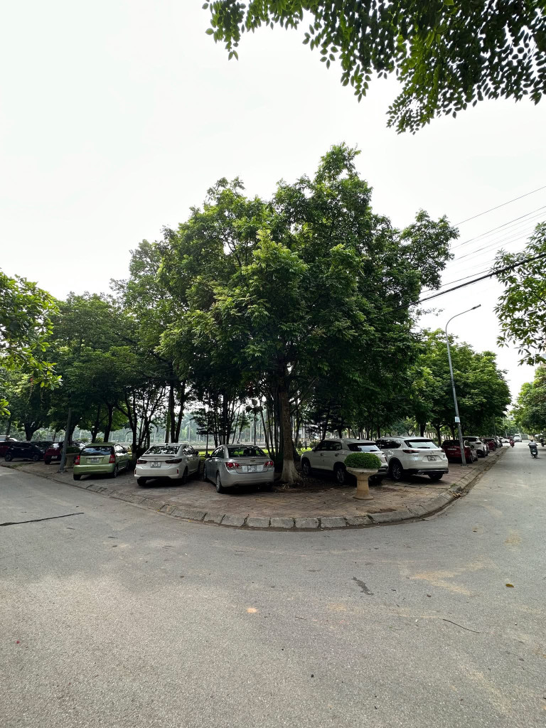 Cho thuê nhà nguyên căn trung tâm thành phố Bắc Giang
