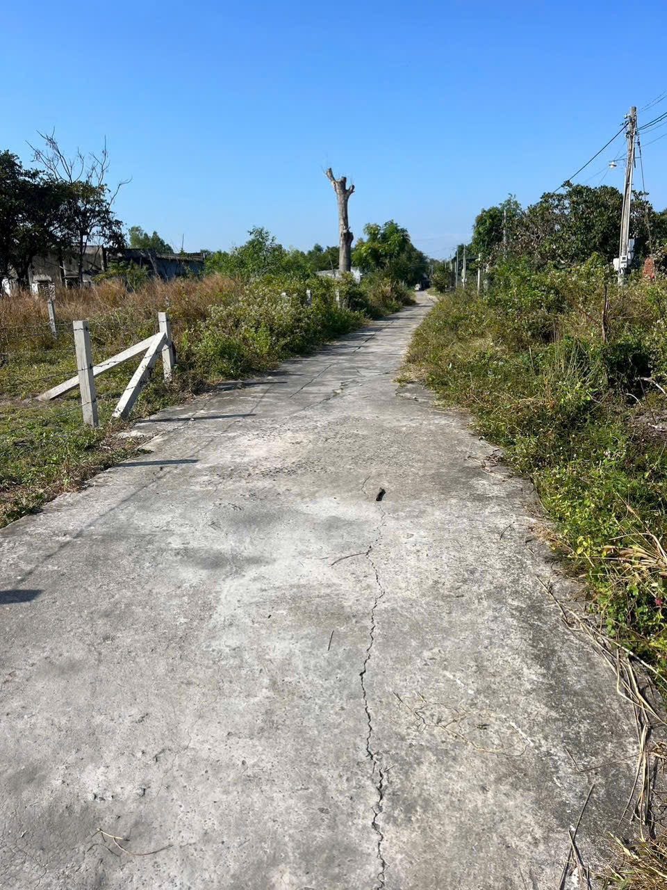 Bds biển ( khu vực biển cam bình).