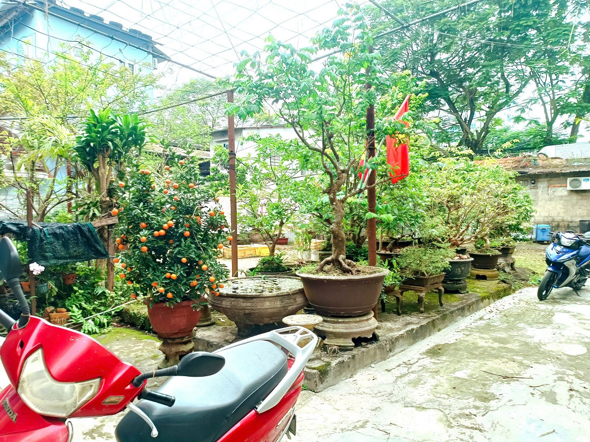 🍁 BÁN ĐẤT TẶNG NHÀ C4 — MẶT TIỀN ĐƯỜNG NGUYỄN HUỆ, VĨNH NINH, TP HUẾ 🍁