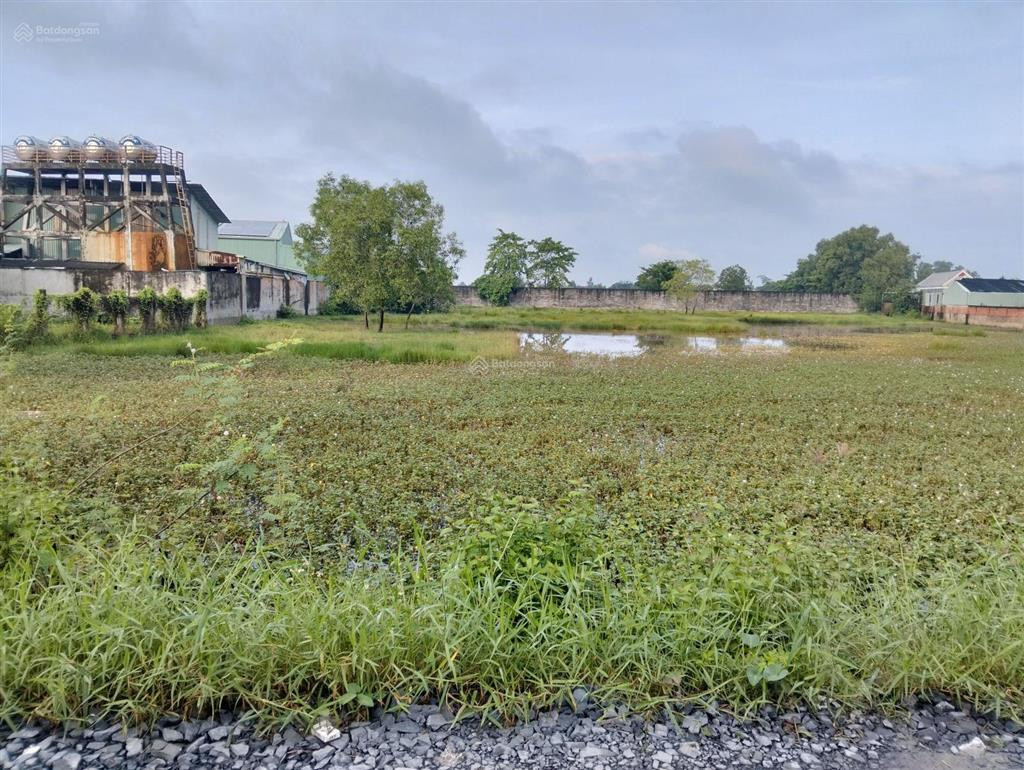 Bán 2775m2 TMDV 1/ Nguyễn Hữu Trí, Thanh Phú, Bến Lức, LA, sát bên Ecopark