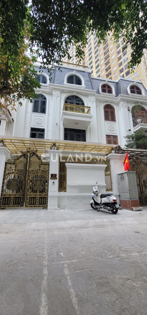 (SIÊU VIP) Bán biệt thự 262 Nguyễn Huy Tưởng 175mx4T nội thất xịn nơi ở lý tưởng Thanh Xuân
