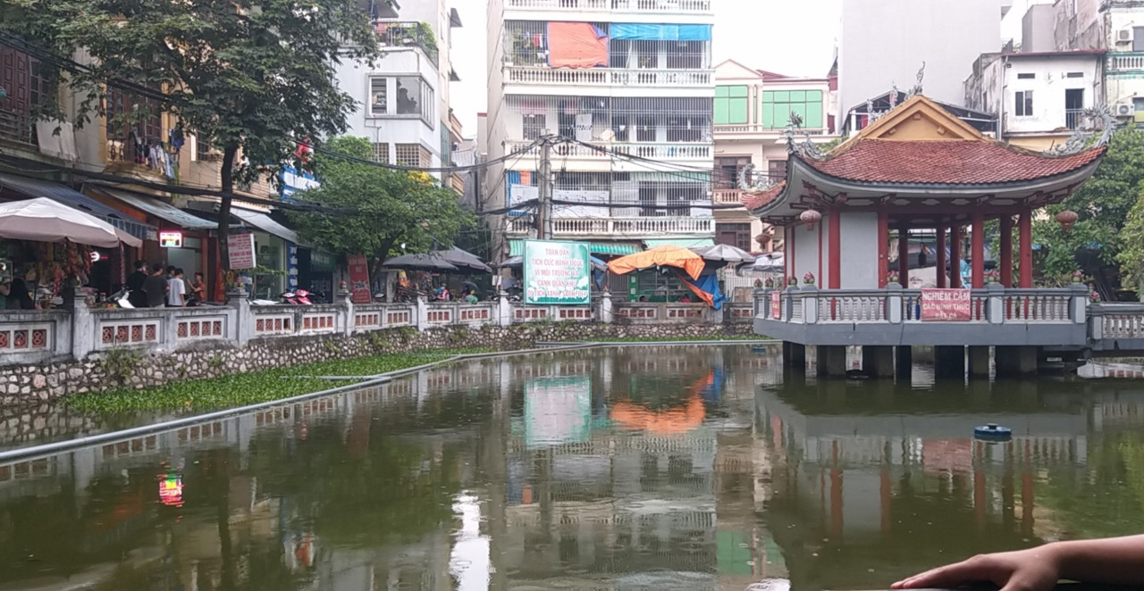 Bán nhà Nguyễn Khang, Cầu Giấy 52m, 7T,TM, Gần Hồ, Ô tô, KD VP, Giá nhỉnh 11 tỷ