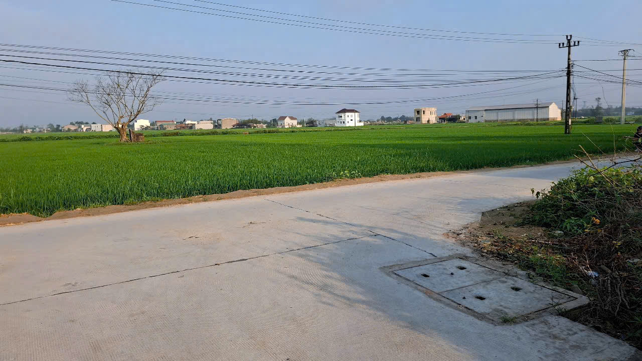 🏡 BÁN ĐẤT GIÁ RẺ PHƯỜNG DƯƠNG NỔ – CÁCH CHỢ MAI CHỈ 2.5KM