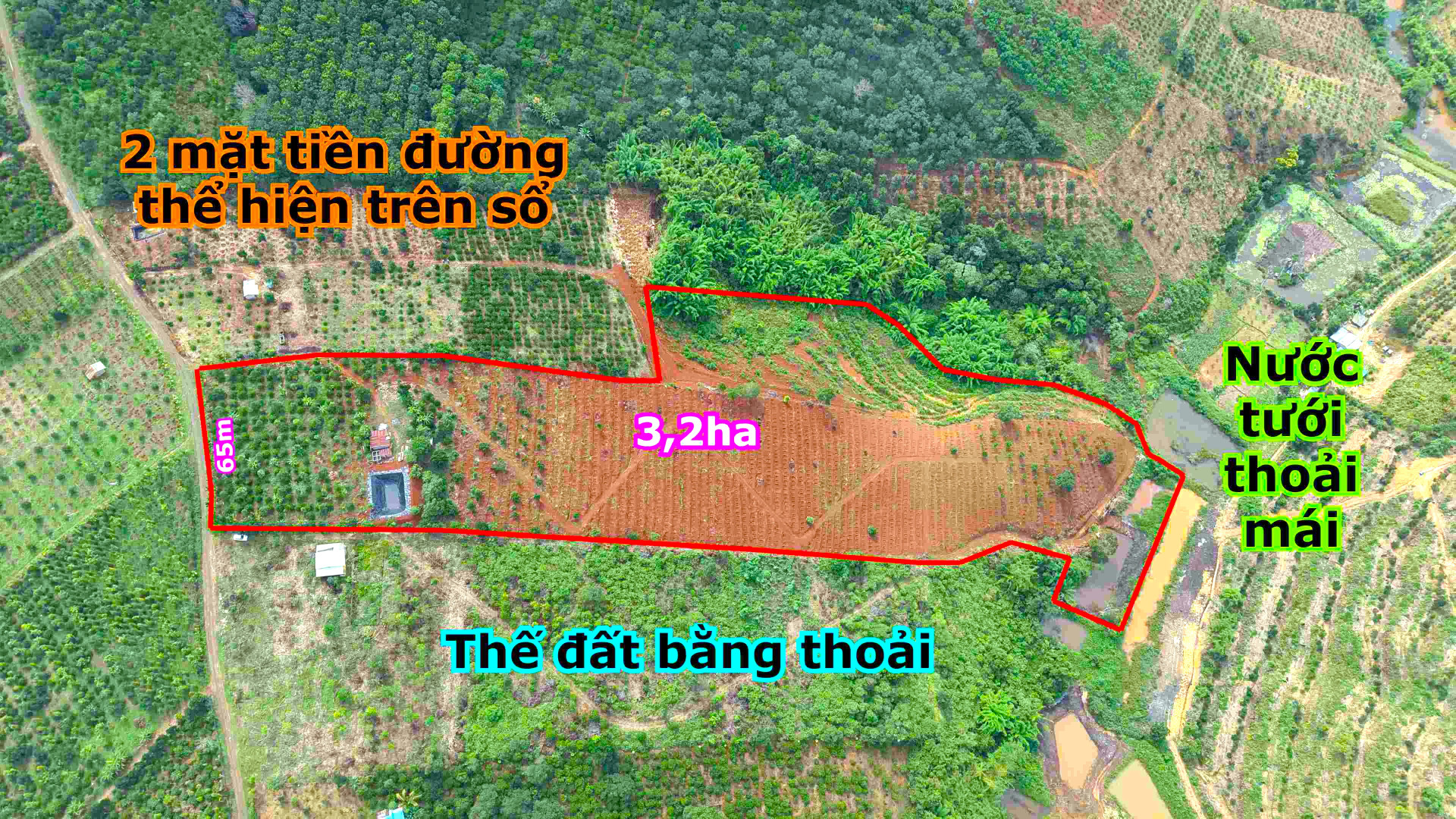 3,2ha đất trồng cà phê, tiêu, sầu riêng, cây ăn trái gần trung tâm Gia Nghĩa
