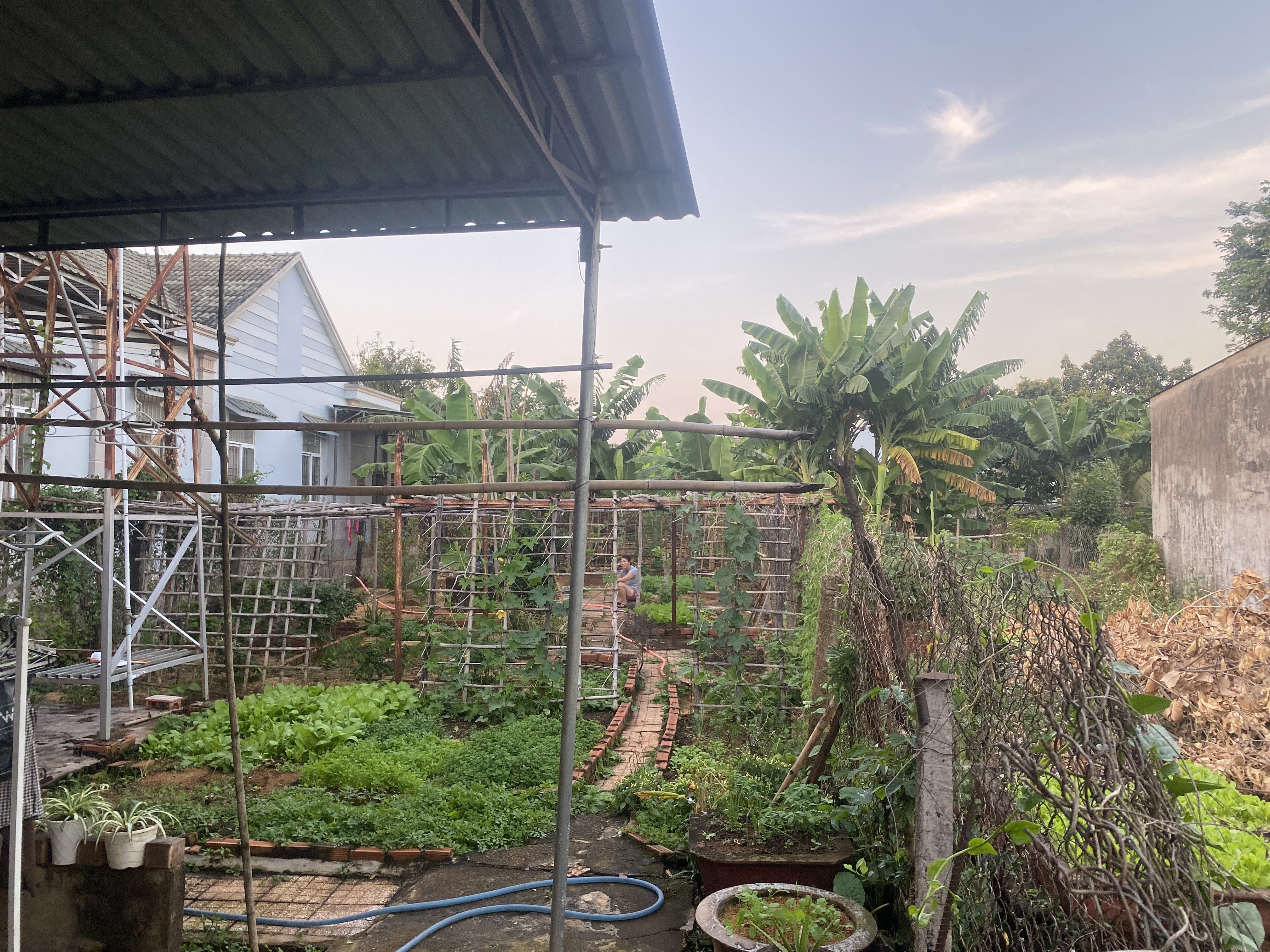 Cần bán nhà vườn mặt tiền đường Nguyễn Tất Thành, view núi Bà Rá