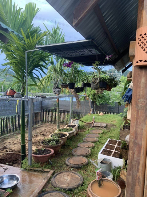 🌿🏡 BÁN NHÀ VƯỜN NGHỈ DƯỠNG – KHÔNG GIAN XANH, SỔ NÔNG NGHIỆP RÕ RÀNG! 📜