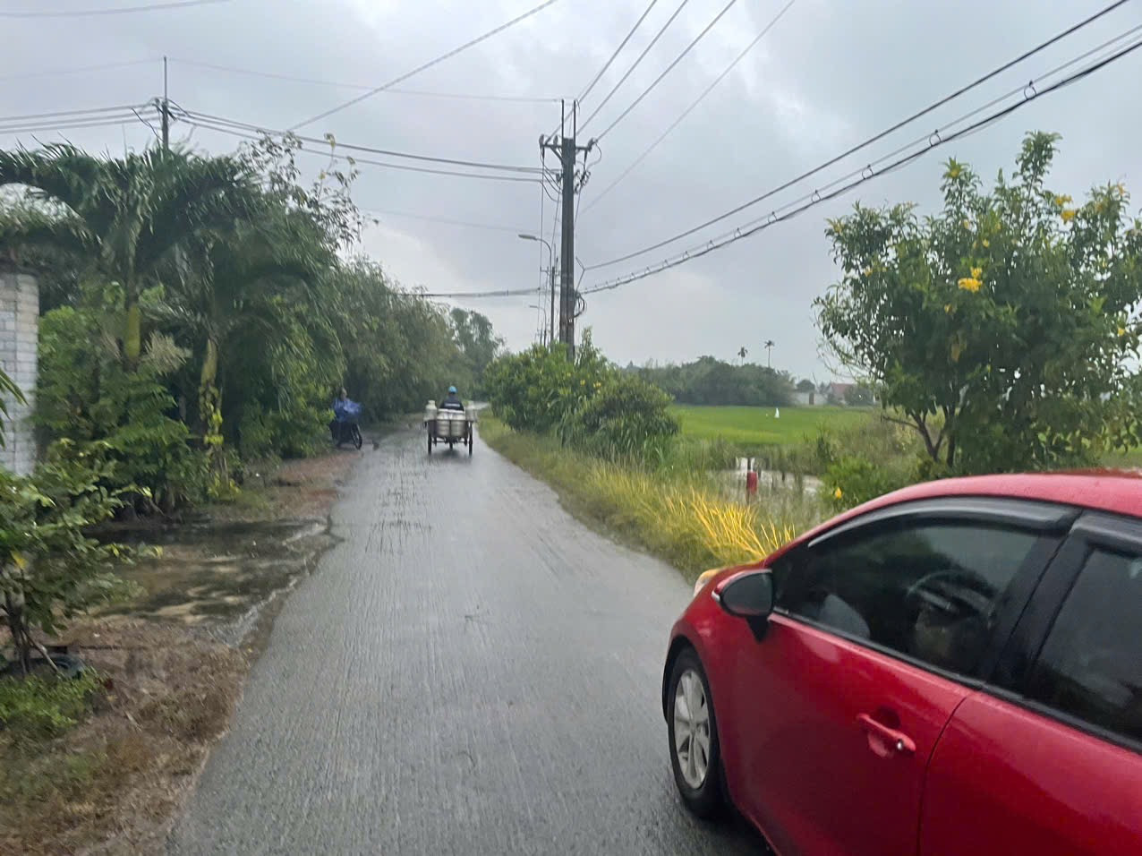 Ngộp ngân hàng