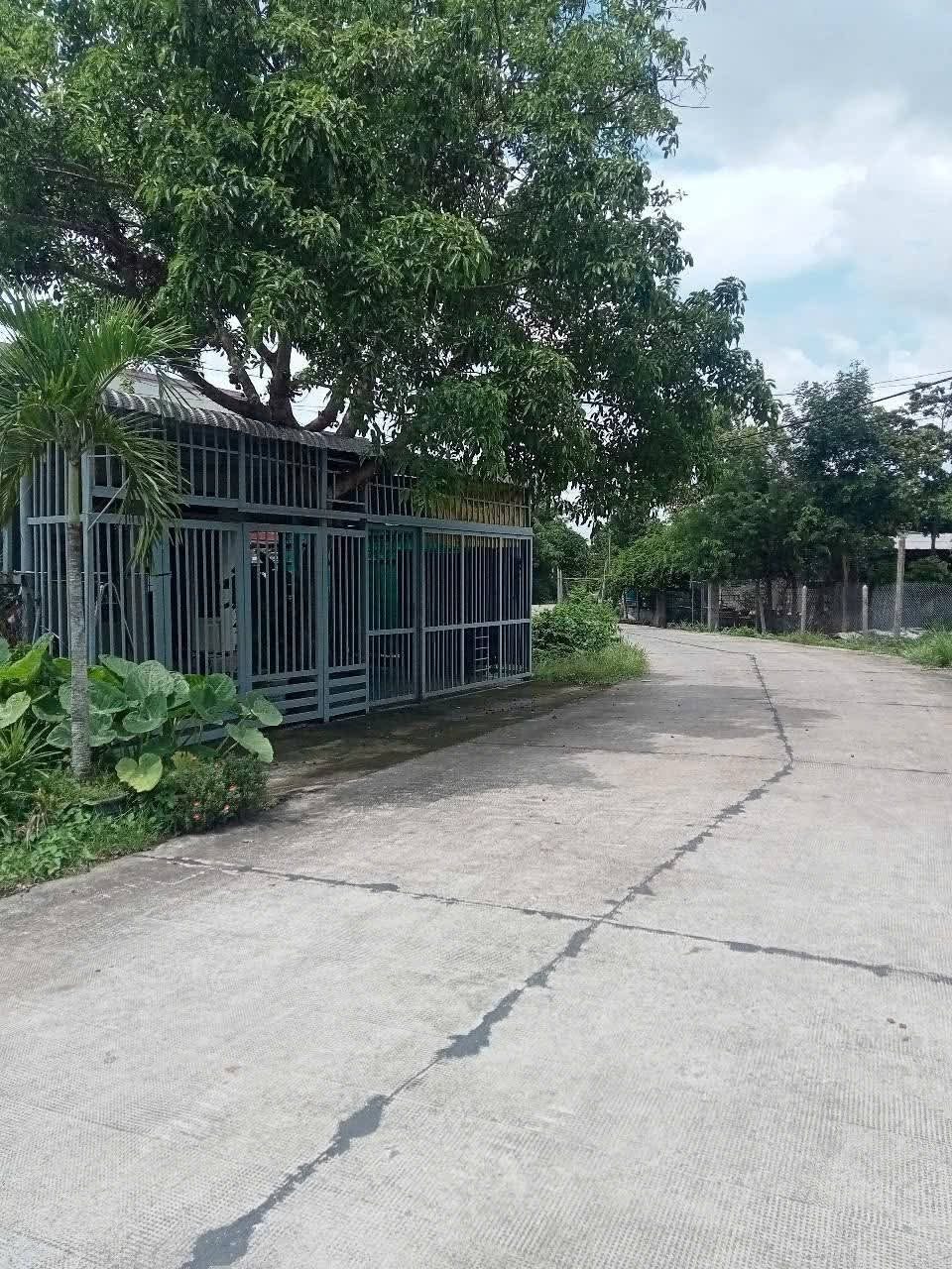 Bán thu hồi vốn đất MT xe Tải 1/ngắn Nguyễn Thị Lắng thông Suối Lội xã Phước Vĩnh An Củ Chi TPHCM, DT: 12x30m.