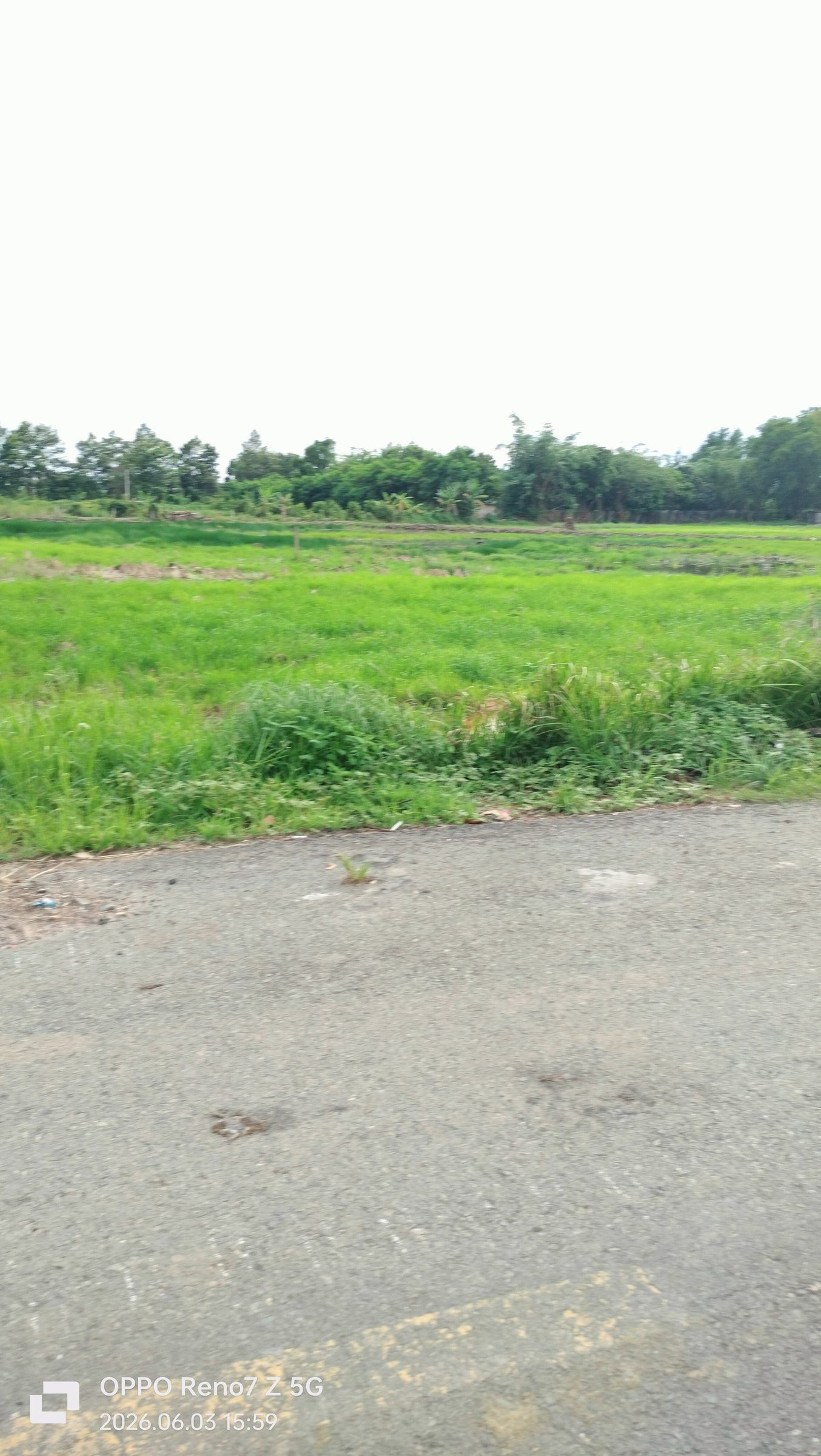 Bán Đất 1050m² giá 7.2 tỷ tại Đường Nguyễn Thị Ly Xã Xuân Thới Sơn TP. Hồ Chí Minh