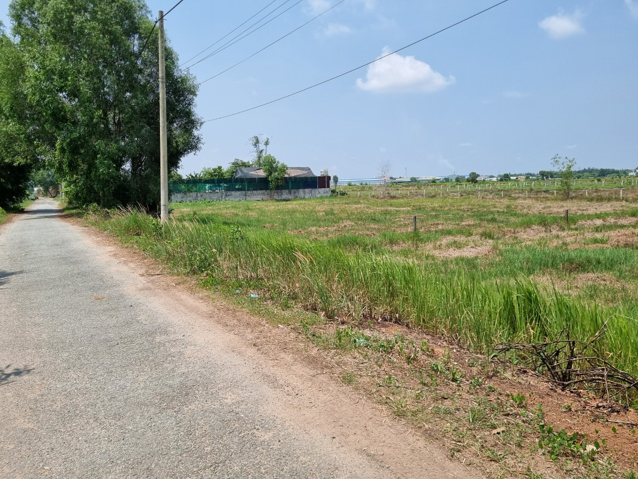 (L347) Đất mặt tiền Nguyễn Thị Quơ, xã Tân Thạnh Tây, dt 1.352m2, giá 4 tỷ 500