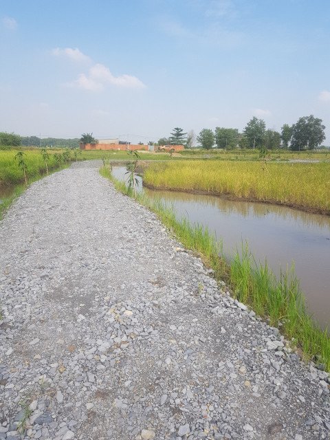Bán  đất nông nghiệp 600m² tại đường Nguyễn Thị Rành, Xã Nhuận Đức, Huyện Củ Chi, TP. Hồ Chí Minh giá 650 triệu