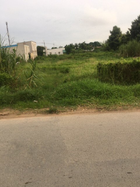 Bán  đất thổ cư 2864m² tại đường Nguyễn Thị Rõ, Xã Tân An Hội, Huyện Củ Chi, TP. Hồ Chí Minh giá 16.5 tỷ