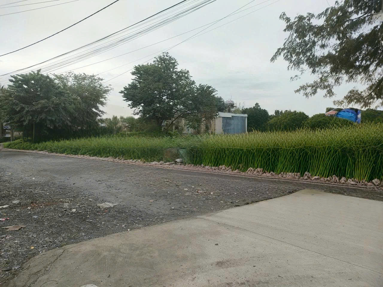 BÁN ĐẤT HẺM XE HƠI – NGUYỄN THỊ THỬ, XÃ XUÂN THỚI THƯỢNG