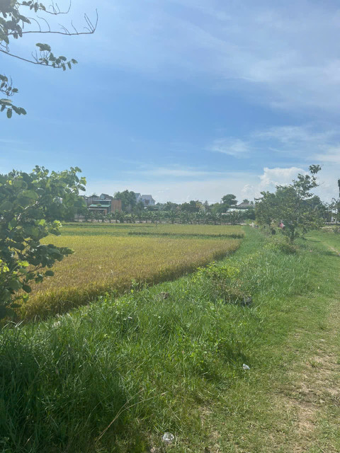 Chỉ 610 triệu/ sào Đất Tân Bình, thị xã LaGi cách Biển 2Km