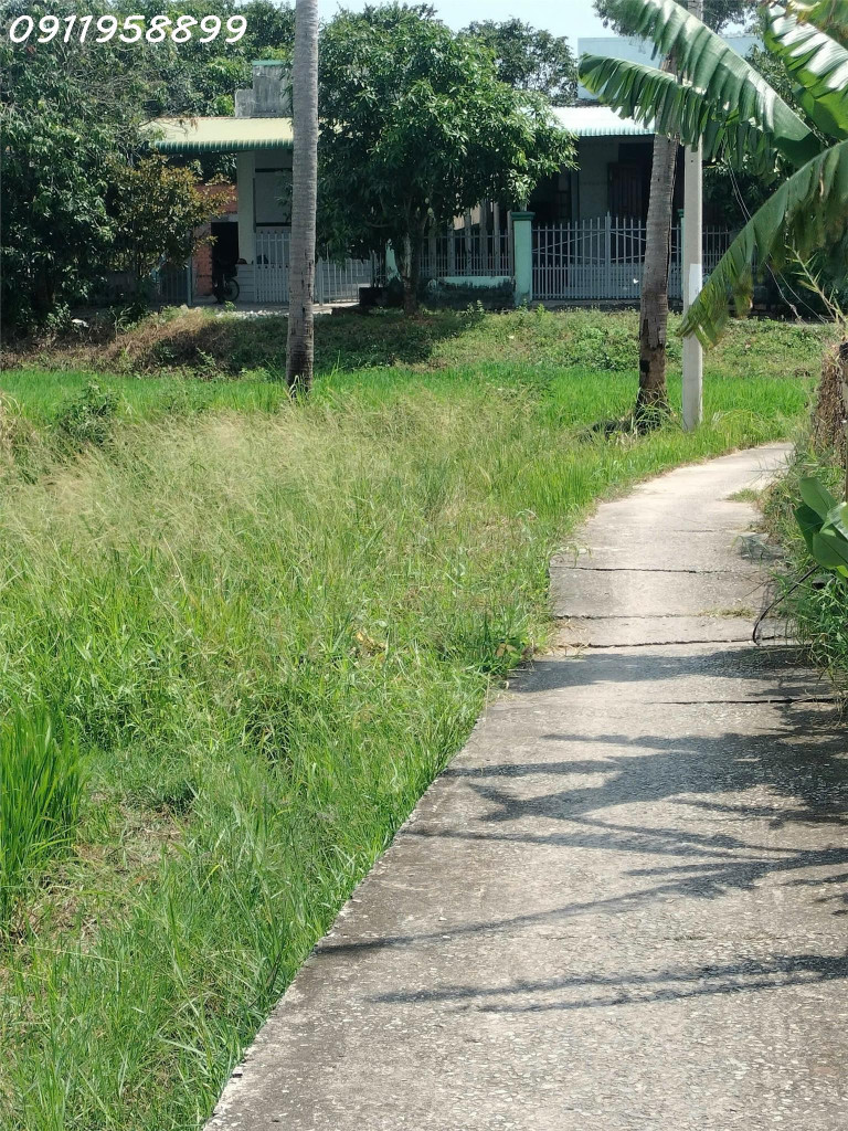 Bán 1645m2 đất Bình Tân, thị xã LaGi giá rẻ nhất 1.4 tỷ