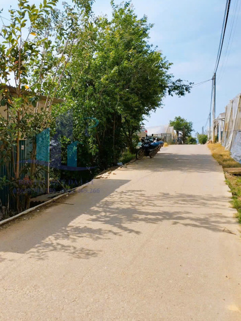 Bán Đất hẻm xe hơi đường Nguyên Tử Lực, Phường 8, Đà Lạt 6200mv