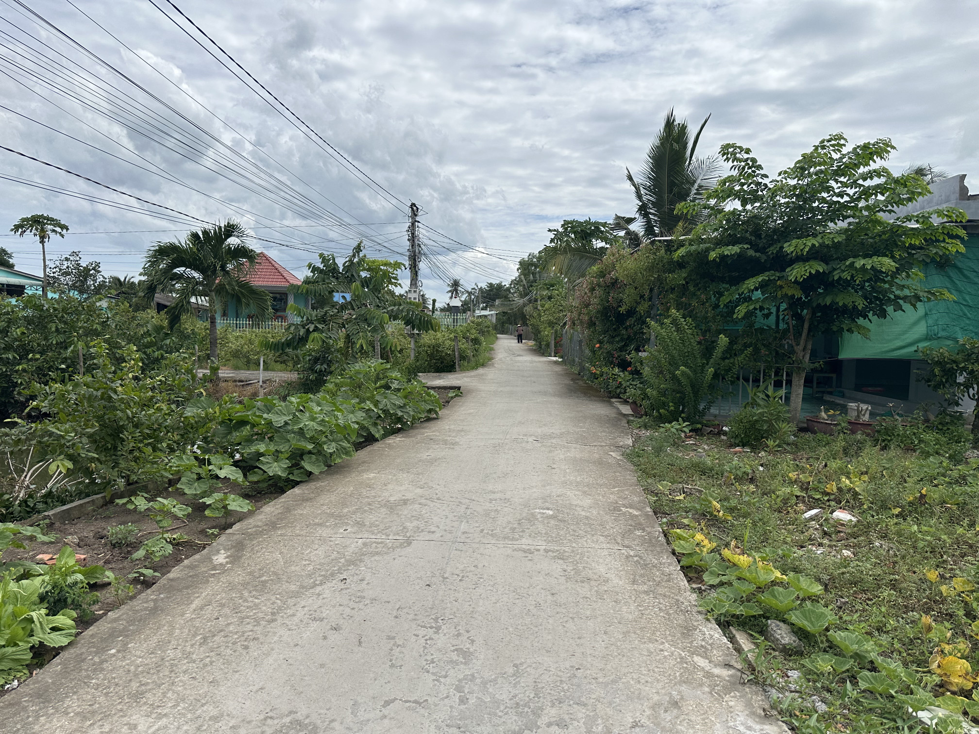🌈🌈 Bán 433m² thổ cư MT Nguyễn Văn Ánh - sát bên TT Tân Trụ