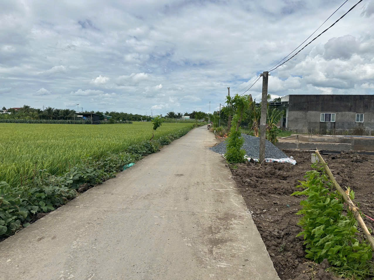 🌈🌈 QUÁ RẺ - Đường Nguyễn Văn Ánh(cách uỷ ban Bình Trinh 300m)