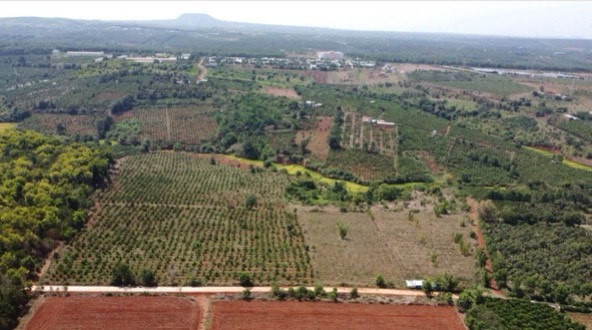 💥 7,5ha đất nông nghiệp phường Diên Hồng
