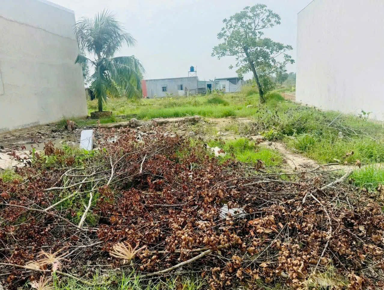 Bán Đất 90m² thổ cư 90m² giá 670 triệu tại Đường Nguyễn Văn Dương Thị trấn Đức Hòa Huyện Đức Hòa Long An