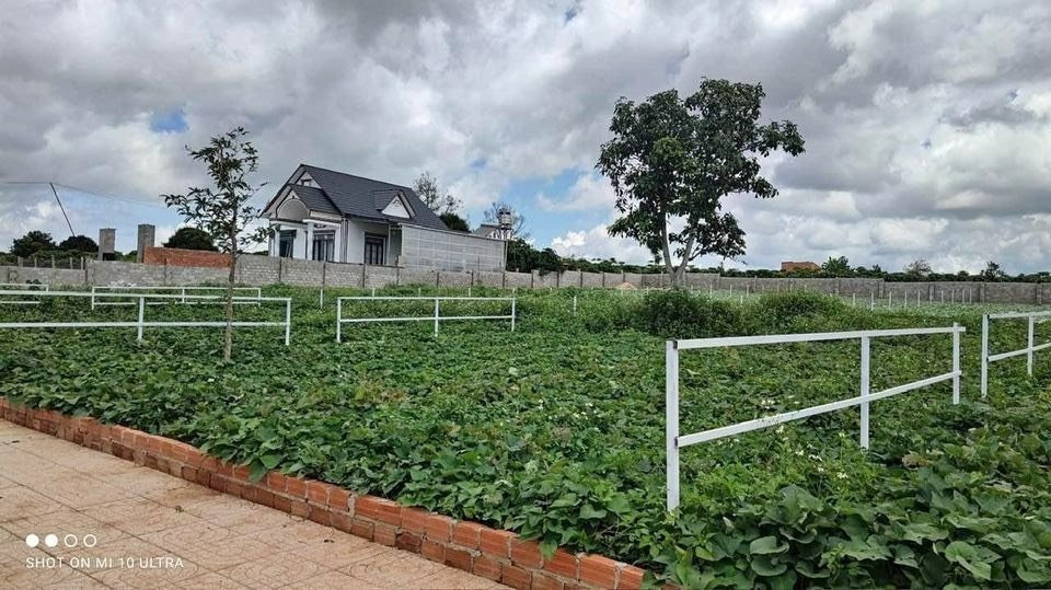 BÁN 2 LÔ 10X40=400M2 SỔ RIÊNG THỔ CƯ MẶT TIỀN QUỐC LỘ VÀO GIÁ 195TR