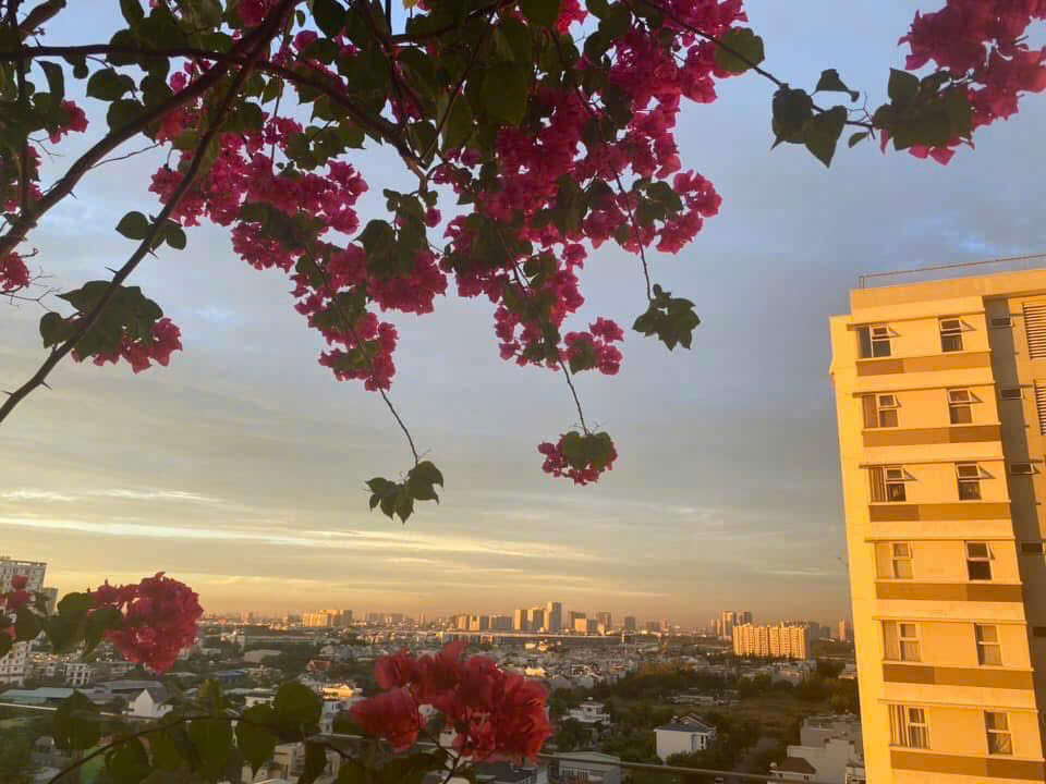 BÁN CĂN HỘ CHUNG CƯ FUJI – PHƯỚC LONG B, THỦ ĐỨC – FULL NỘI THẤT, VIEW 2 MẶT THOÁNG