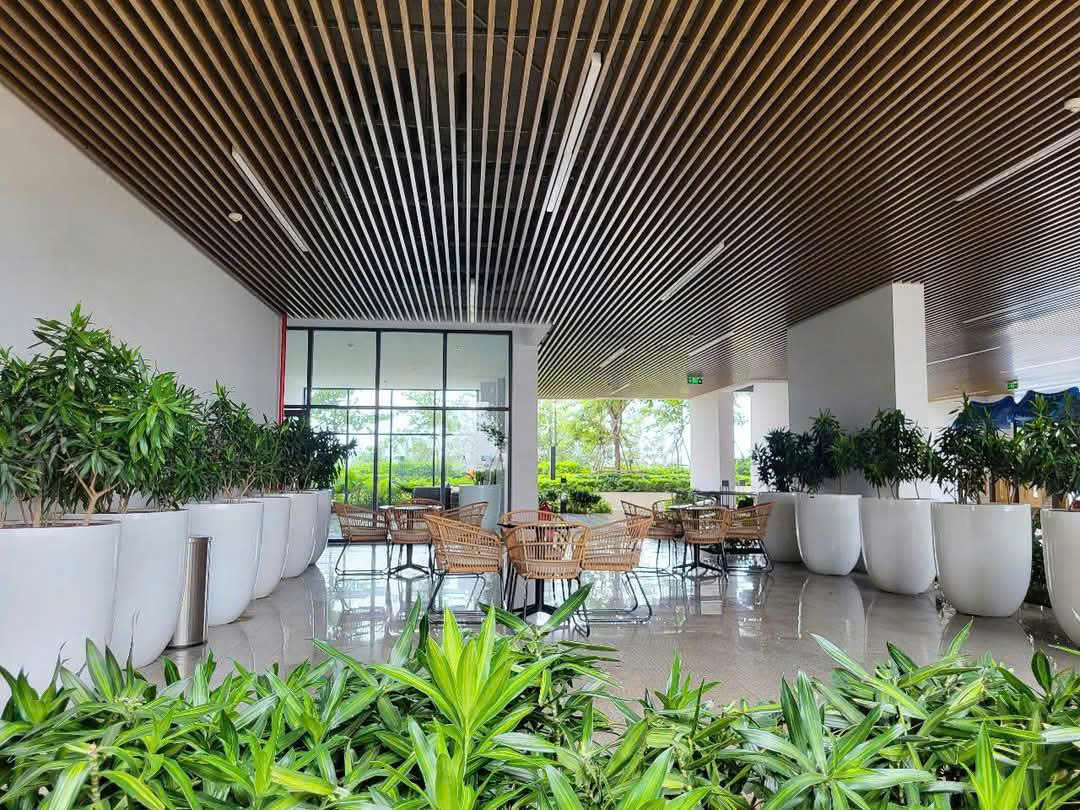 CHÍNH CHỦ CẦN BÁN GẤP CĂN HỘ OPAL SKYLINE TẦNG 30 Ngay Thành Phố Thuận An, Bình Dương.