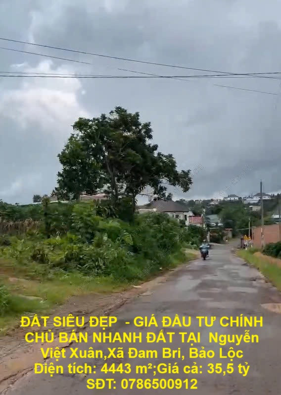 ĐẤT SIÊU ĐẸP  - GIÁ ĐẦU TƯ CHÍNH CHỦ BÁN NHANH ĐẤT TẠI  Nguyễn Việt Xuân,Xã Đam Bri, Bảo Lộc