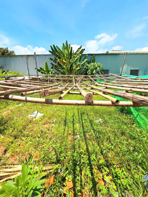 BÁN ĐẤT Phân lô, Trường Thạnh, Nguyễn Xiển Q9, DT ( 4 x 16 ) 63m2, chỉ 3.1ty