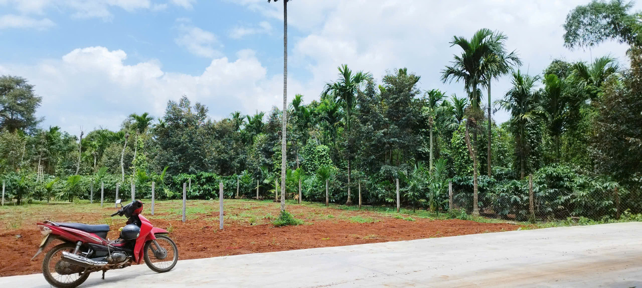 🔥 ĐẤT 2 MẶT TIỀN GẦN HỒ EA TAM – GIÁ RẺ CHỈ 1,845 TỶ 🔥