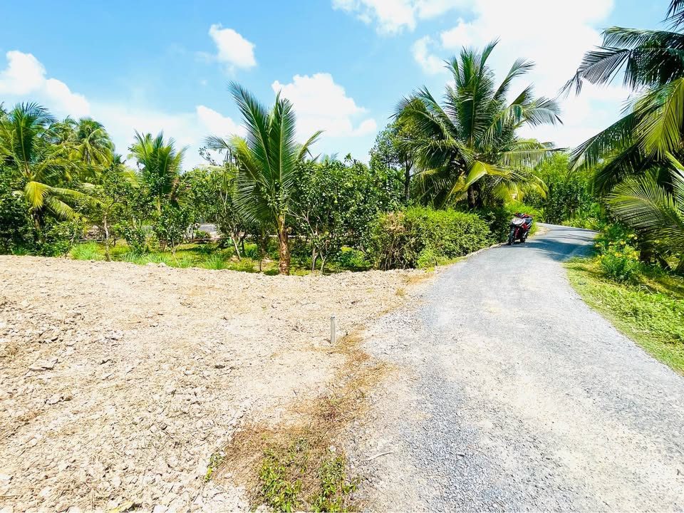 Bán đất 140m² full thổ cư ngang 5m giá 320 triệu tại Đường Nhựa Xã Bình Phước
