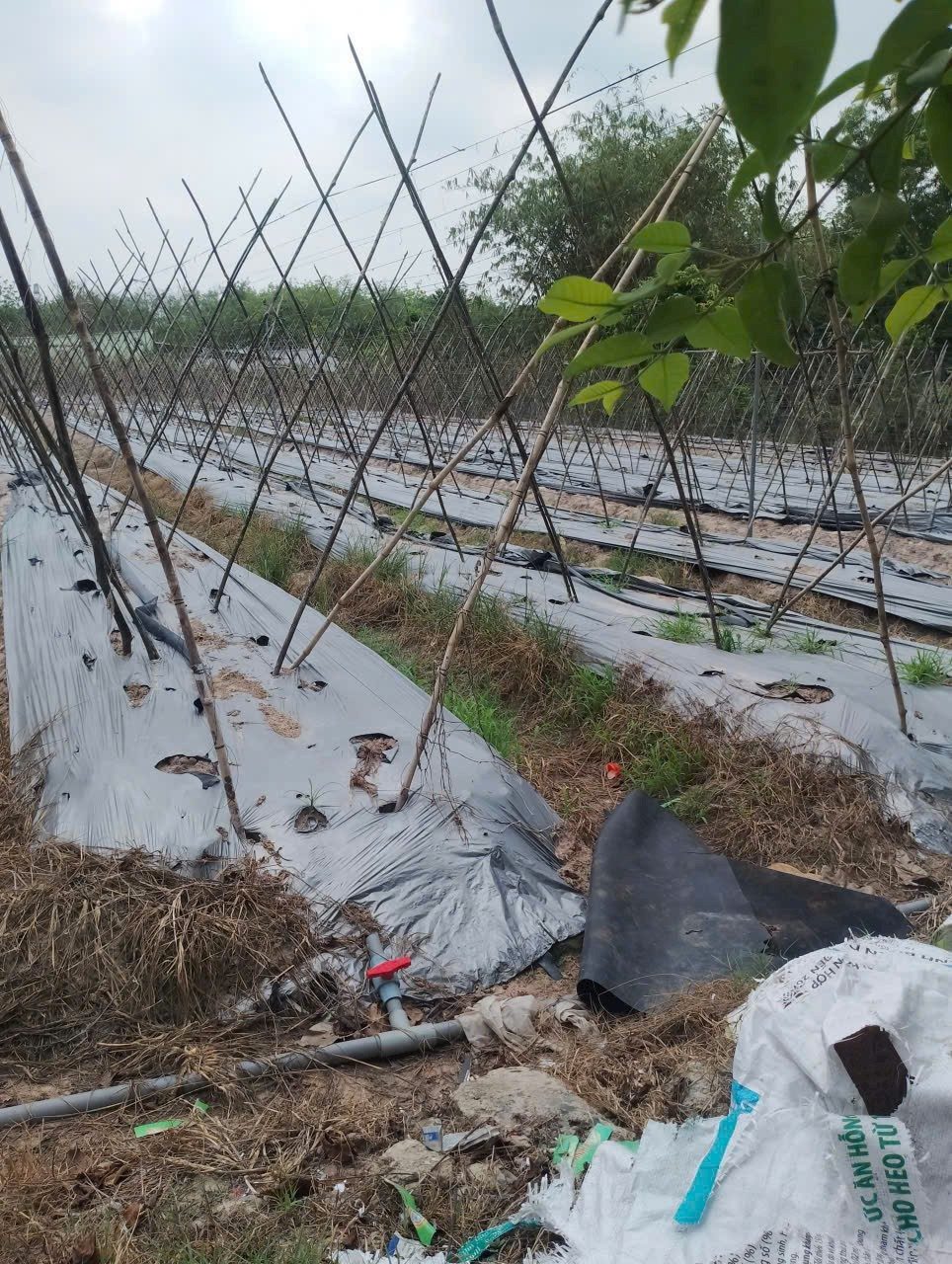 Bán đất khu dân cư mặt tiền nhựa 1/Nhuận Đức trung tâm xã Nhuận Đức Củ Chi TPHCM, DT: 51x74m.