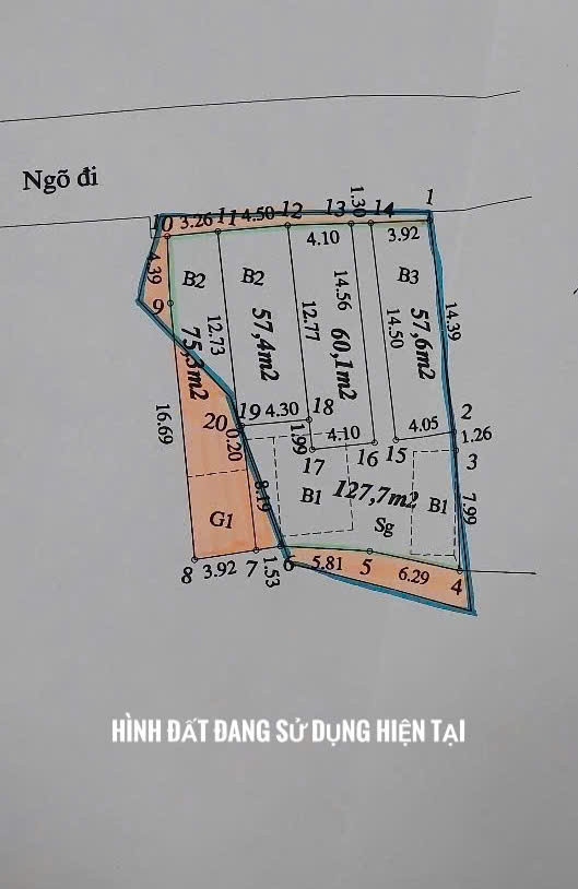 Bán gấp đất thổ cư, sổ đỏ chính chủ tại Nhuệ Giang, Tây Mỗ, Nam Từ Liêm, Hà Nội: