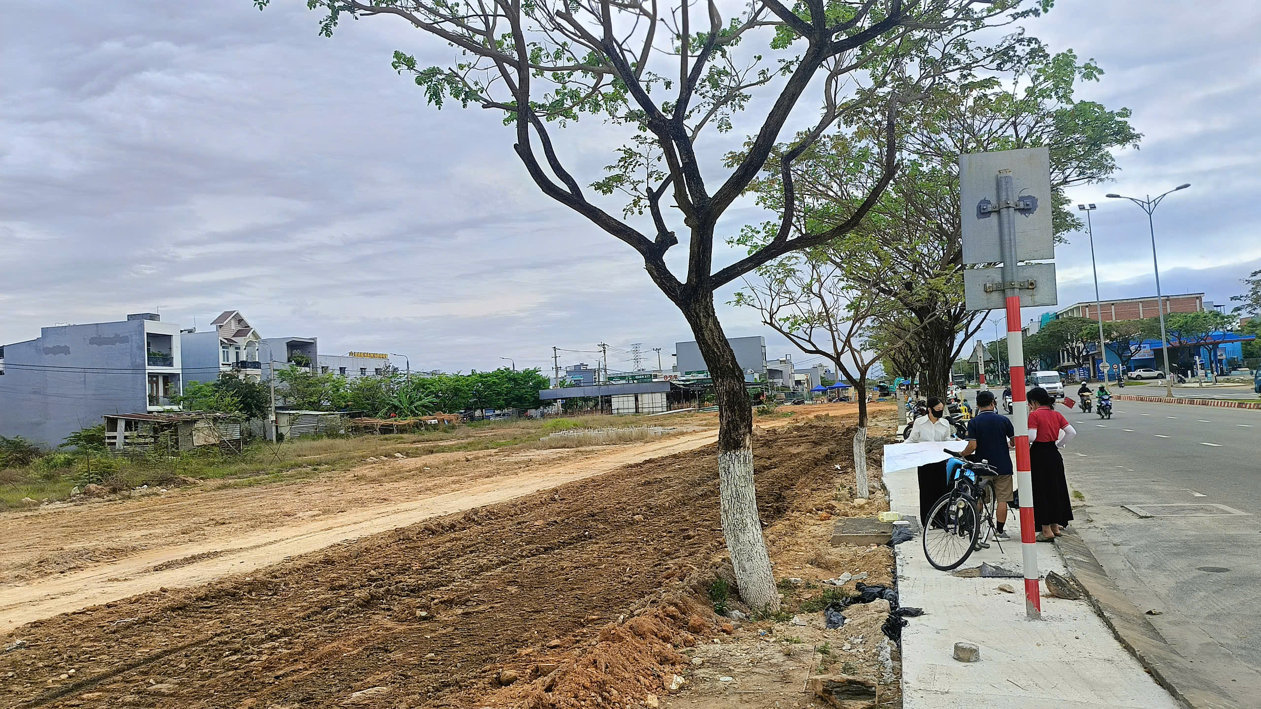 Bán lô đất 100m2 đường Phạm Đình Bân giá 4,6 tỷ