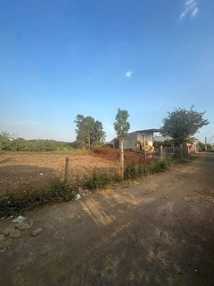 💥 Đất Hẻm 179 Phạm Ngọc Thạch