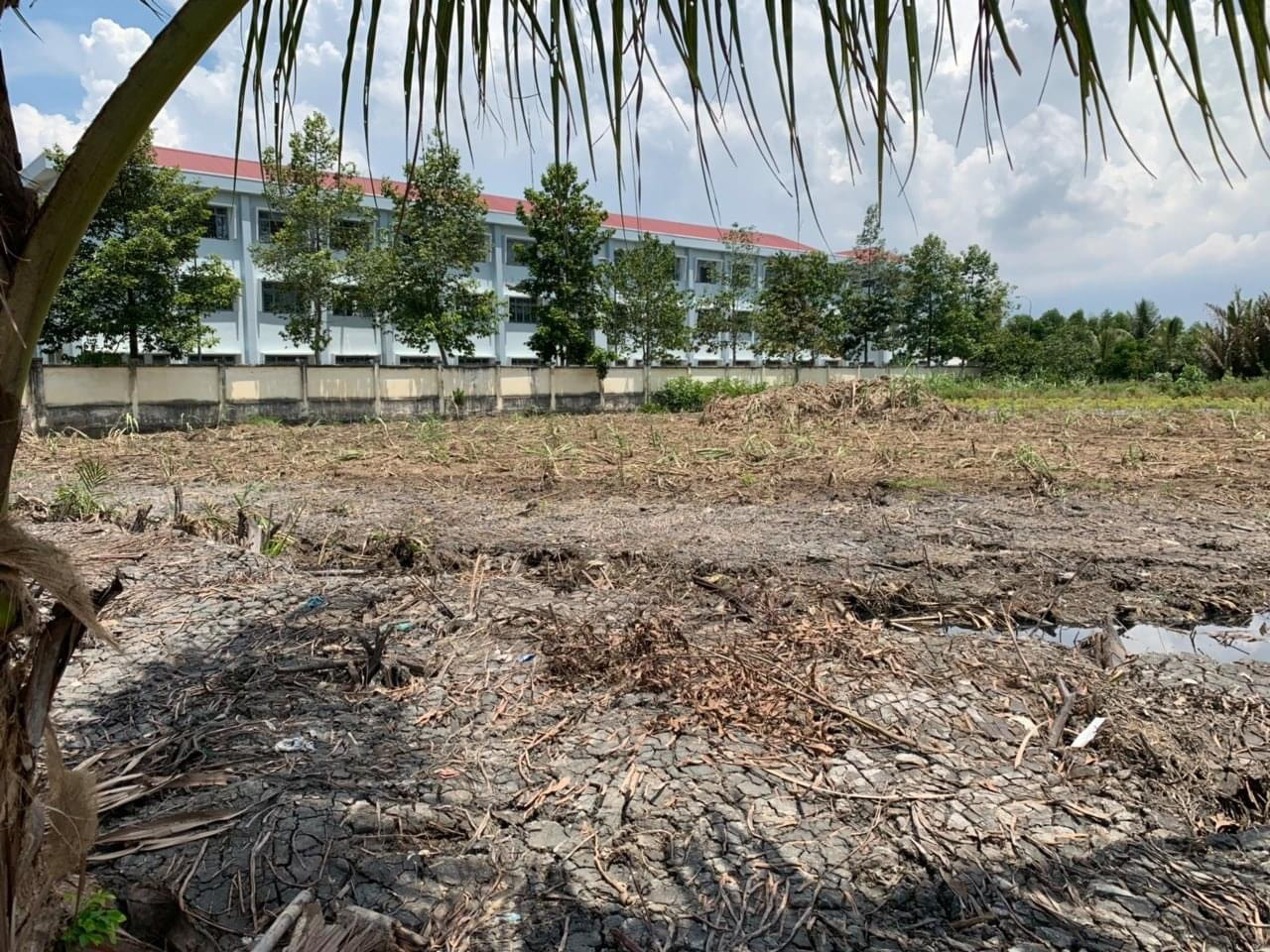 Bán đất 1519m² ngang 40m giá 6.5 tỷ tại Xã Phước Khánh Huyện Nhơn Trạch