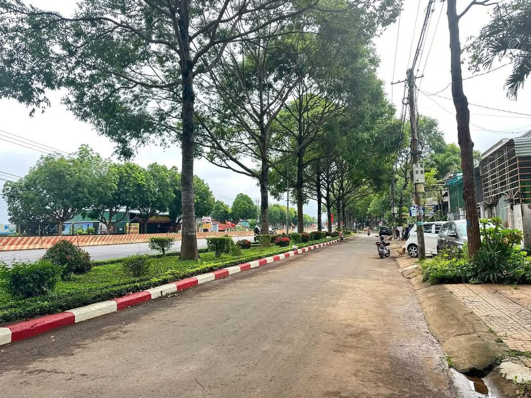 Bán đất 115m² ngang 5m giá 4.05 tỷ Phường Tân Lập