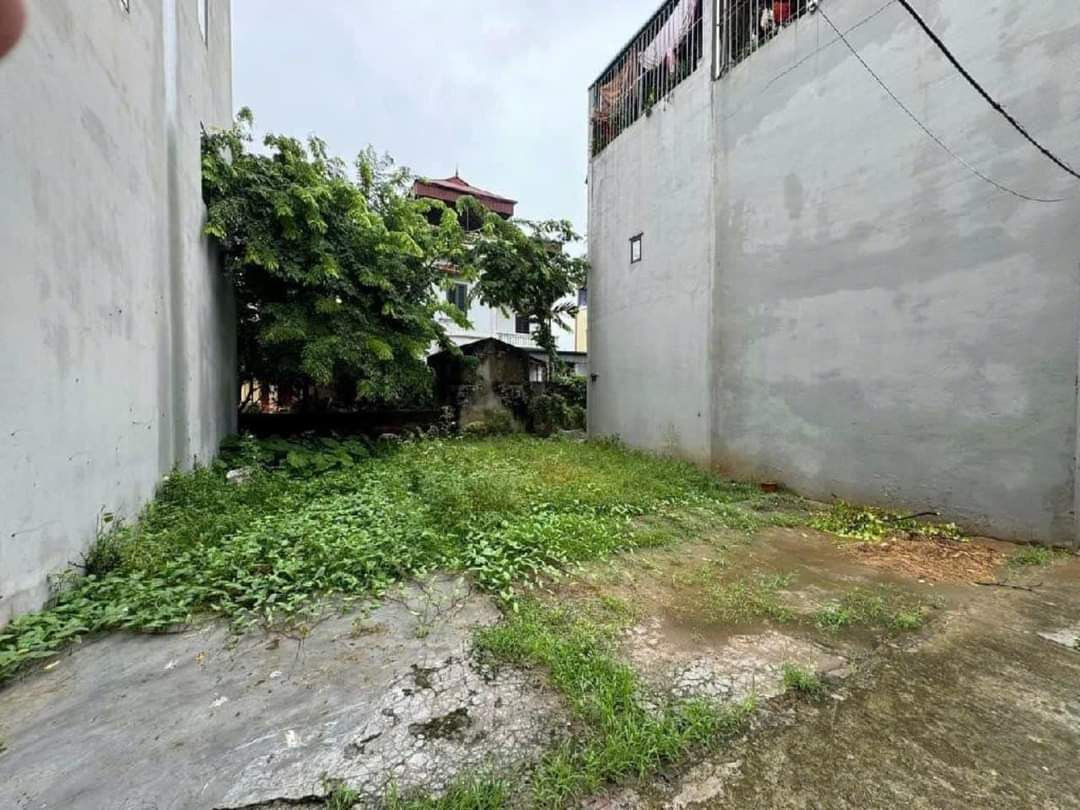 Chính chủ bán đất nền 85m² – đường Phạm Văn Thành – Phường 4, TP. Tân An – SHR – chỉ 900 triệu