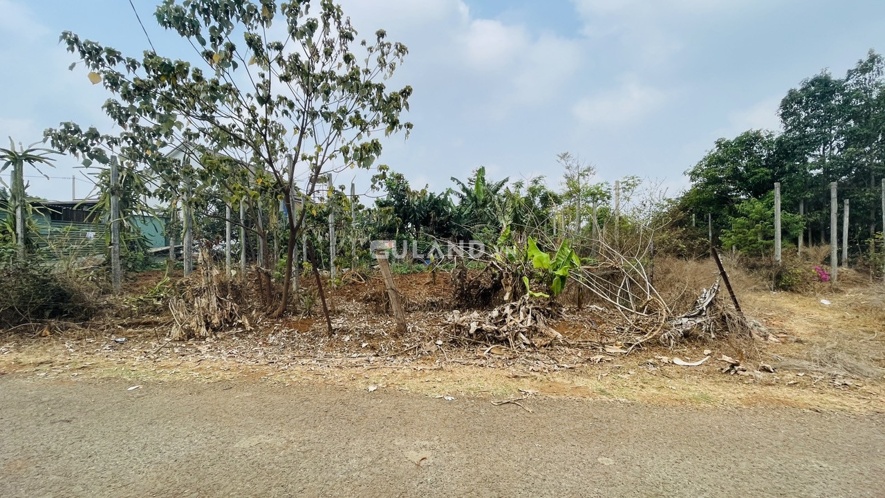 Hẻm đồi thông- D tăng giá